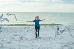 Happy amazed kid running, chasing birds. Kid runs along the coast and chases the birds. Seagull fly away.