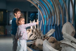 Children look at the skeleton of an ancient whale in the Museum of paleontology