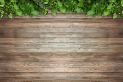 Brown wood floor with green leaf frame, wooden board with fresh tree leaves border.