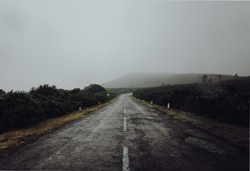 Foggy road on the top of Madeira island