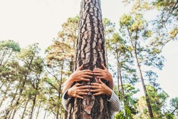 People and love for nature environment concept with hands hugging a trunk tree in the forest - stop deforestation and save the eart planet mission - earth's day celebration