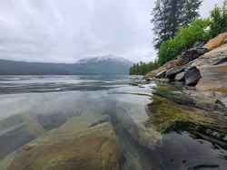 found this beautiful are right along Lake McDonald, Glacier National park.
