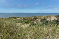 dune landscape at North Sea with green grass and vegetation, Bray-Dunes, France