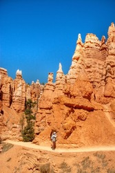Hoodoos and rock formations. Unique rock formations from sandstone made by geological erosion in Bryce canyon, Utah