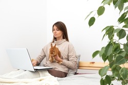 Caucasian brunette woman,girl with long hair sitting on bed in front of laptop with cute little rabbit,pet in white modern interior.Distance education,work from home,online shopping.Copy space.