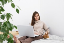 Caucasian brunette woman,girl with long hair sitting on bed in front of laptop with cute little rabbit,pet in white scandinavian interior.Distance education,work from home,online shopping.Copy space.