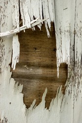 Cracked Layer On Old Plywood Door With White Paint