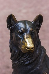 Bronze sculpture of a dog with a polished nose.