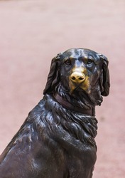 Bronze sculpture of a dog with a polished nose
