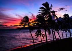 Palm trees and the ocean against a beautiful Maui sunset on Sugar Beach Kihei Hawaii