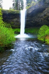 Waterfall in the Silver Fall State Park, Oregon. Breathtaking waterfalls along the rocky canyon in the green temperate forest, living trees. Great sunlight and weather conditions.