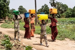 Group of black children from West Africa carrying water from the village well to a nearby vegetable field
