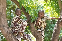 Two adorable black African boys in twin dress sitting on a mango tree posing for the camera