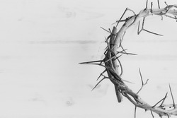 black and white half crown of thorns with copy space
