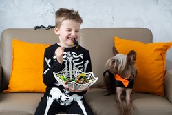 Happy smiling halloween boy with chinese crested dog having fun at home .eat scary spider candy and looking at camera wearing Halloween costume skeleton on home background.