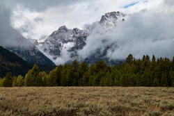 dramatic snow capped jagged peaks of Grand teton mountains surrounded by vibrant autumn foliage of aspen and birch trees in Wyoming.	