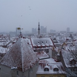 Snow-covered roofs of houses in Tallinn in a snowfall