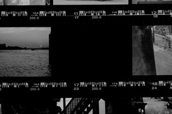Contact sheet of old black and white film negatives.