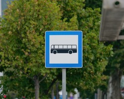 Selective focus shot of a Bus Stop Sign on a metal pole with the tree in the background	
