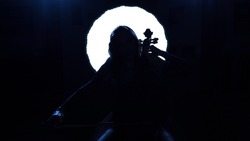 the girl playing the cello in the shadows