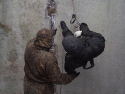 Training in military, assault and police mountaineering. Male instructor teaches a man in camouflage to climb down a wall on a rope. Special forces learning at the training ground. Photo without face.