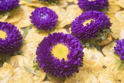 Purple Aster Matsumoto flower on a bed of plantain banana chips set as a background 