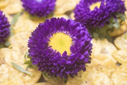 Purple Aster Matsumoto flower on a bed of plantain banana chips set as a background 