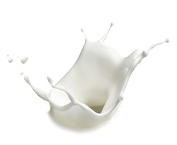 close up of  a milk splash on white background