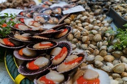 Delicious and fresh scallops with cockles in the background in a fish market.