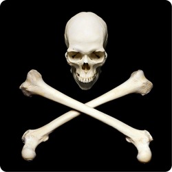 Real human skull with crossed bones