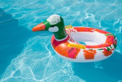  Duck, inflatable ring. Rubber swimming ring on water. Duck swim tube in water 