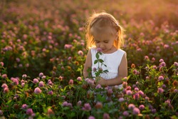 A little girl with a bouquet of flowers in a clover field is bitten by mosquitoes. A child in the rays at sunset. Insect bites. World 
Mosquito day