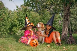 Funny laughable sisters dressed up as witches play with a dog in the courtyard at home on Halloween day.