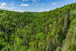 The forest of the Chic Choc Mountains seen from the Philomene waterfall belvedere near St Alexandre des Lac in Quebec (Canada)