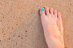 Shy Girl Feet Standing In Sand.a Wave comes in, as I stand and wait. copy space. top down view.Naked feet at the Beach - Barefeet nature Background.