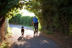 Man cycling on a country road with his dog on a leash.
Backview of a man who riding with his dog that running next to him. Healthy lifestyle on a hot summer afternoon.          