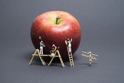 miniature team of painters with wooden ladder and scaffolding paints an apple. Gray background copy space