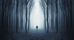 man walking through a fairytale forest