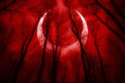 dark scary forest scene with surreal eclipse, apocalyptic landscape 