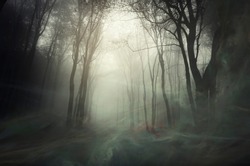 wind blowing magical dust in mysterious dark forest, fantasy background