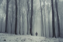 fantasy forest in winter with man