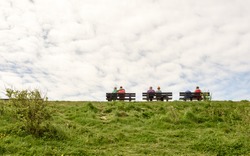 3 benches with 3 couples sitting on them photoed from behind under the blue sky with lots of fresh green grass at the front
