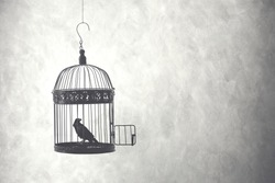 freedom concept, bird in an open cage 