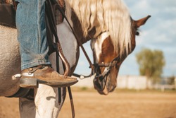 Cowboy boot with a spur. Ranch horse. Pinto western horse with a rider.