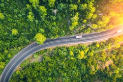 Aerial view of road in beautiful green forest at sunset in spring. Colorful landscape with car on the roadway, trees in summer. Top view from drone of highway in Croatia. View from above. Travel