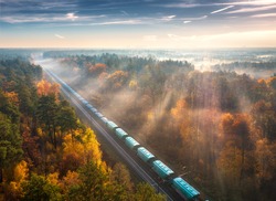 Aerial view of freight train and beautiful forest in fog at sunrise in autumn. Colorful landscape with railroad, moving train, foggy trees, sunbeams and blue sky in fall. Top view. Railway station