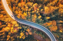 Aerial view of mountain road in beautiful forest at sunset in autumn. Top view from drone of winding road in woods. Colorful landscape with curved roadway, trees with orange leaves in fall. Travel	