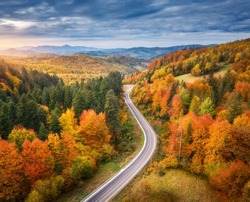 Aerial view of road in colorful forest at sunset in autumn. Top view from drone of mountain road in woods. Beautiful landscape with roadway, blue sky, trees with red and orange leaves in fall. Travel