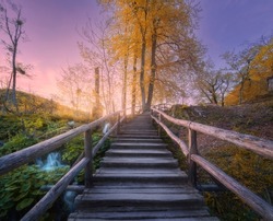 Wooden stairs in forest at sunset in autumn. Plitvice Lakes, Croatia. Colorful landscape with path in bpark, steps, yelllow trees, water lilies, river, pink sky in fall. Trail in woods. Nature