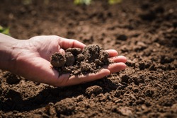Soil, cultivated dirt, earth, ground, brown land background. Organic gardening, agriculture. Nature closeup. Environmental texture, pattern. Mud on field.